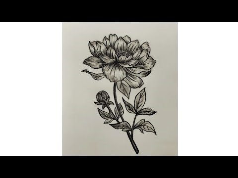 "Beautiful Flower Drawing 🌸। Realistic Flower Sketch Tutorial" ✨