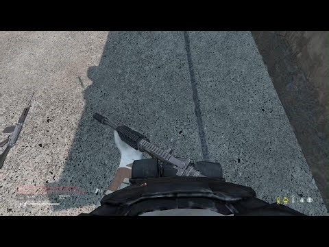 Dayz look trough walls glitch (New Whitewall)