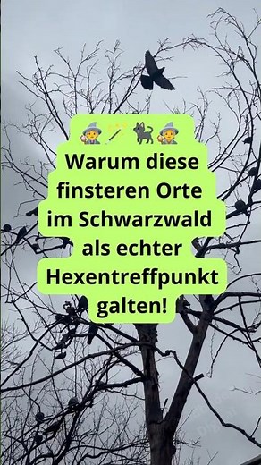 🧙‍♀️ Hexenwald Schwarzwald 🐈‍⬛