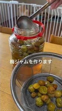 梅ジャム#梅#梅ジュース#梅ジャムレシピ