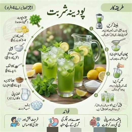 Mint Sharbat recipe by UFA