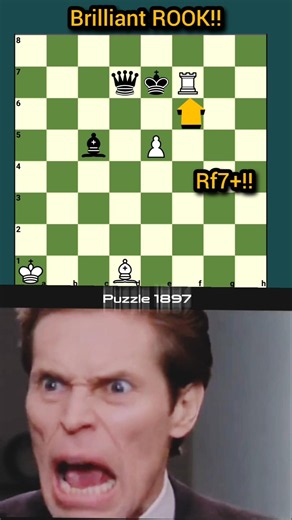 Brilliant ROOK Play but Why explain it #chess #shorts #puzzle