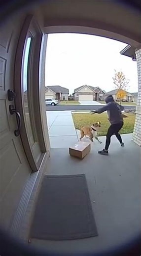 Caught Stealing the Bait Box! Funniest Porch Pirate Prank Ever