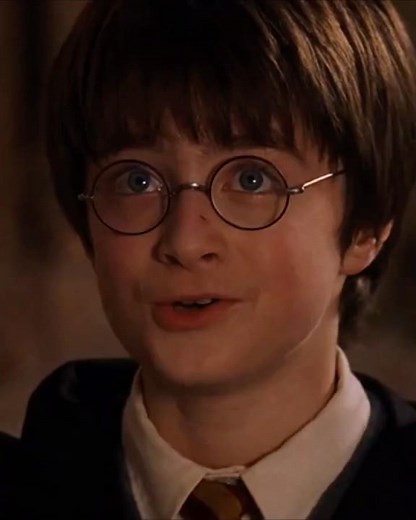 The Magical Beginning of Harry Potter ✨⚡ | Harry Potter and the Sorcerer's Stone