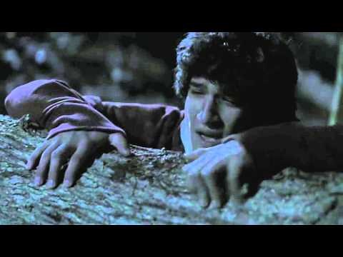 Scott gets bitten [S01x01]