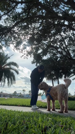 Elizabeth Willis on Reels