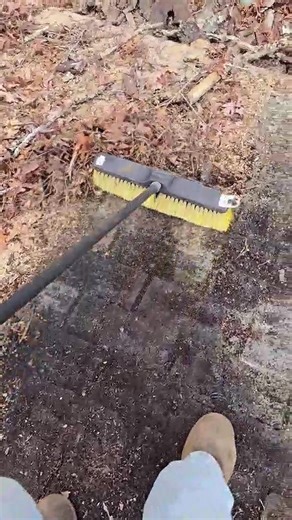 Got the tree off Nana's garage! 7494030020407463210 | Zoe Condon