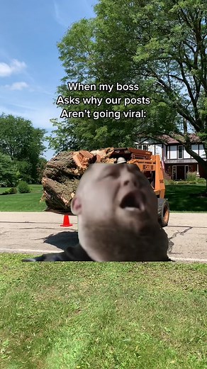 Sorry brother! These dang tiktaks aren’t cuttin it. #arborist #tree #trees #treecare #treeservice #treework #treelife #arblife #treebiz #chainsaw #treeremoval #arboriculture #stihl #vermeer #husqvarna #wood #nature #treeclimber #treefelling #treestuff #arborcare #buckettruck#bluecollar #blue