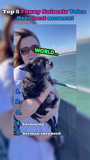 Top 5 animals voice over funny moments 😂😂😂