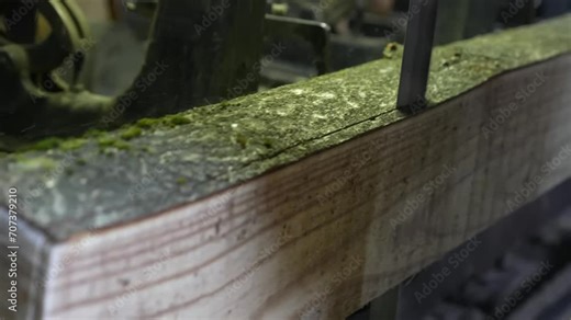 An industrial saw is seen cutting a tree trunk into planks. The intricate machine parts and the wood grain are clearly visible.
