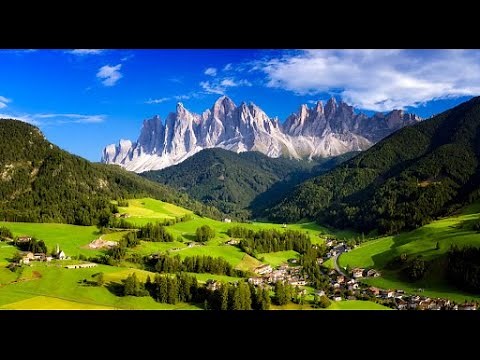 山の人気者 フォレスタ Foresta