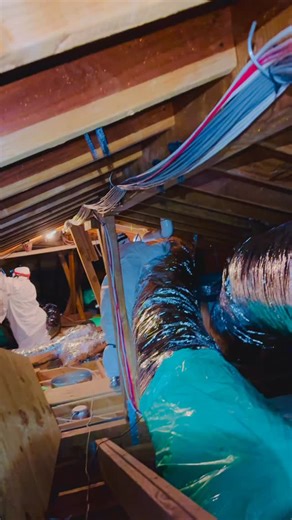 Attic Rescue Insulation on Instagram: "👉 https://www.atticrescueinsulation.com/ 👈. 8181-404-7296. decontaminating your attic and replacing ductwork and insulation can significantly improve your home’s air quality and energy efficiency. Here’s a brief overview of the process: Attic Decontamination** - **Assessment**: Begin with a thorough inspection to identify signs of mold, pests, or contaminants. - **Removal**: Safely remove any contaminated materials, including old insulation and debris. -