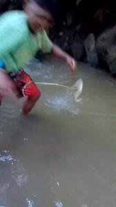 Choii TB on Reels