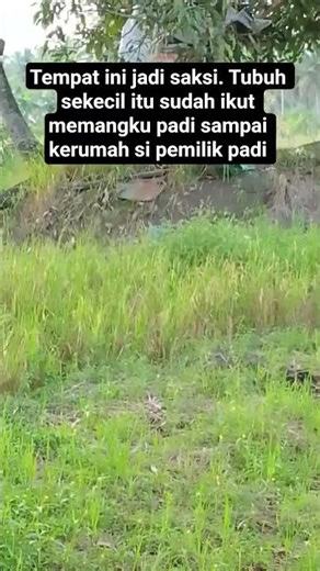 Janji yang ada dalam Al-Qur'an itu sudah terasa. Al-Qur'an lah satu satunya yang mengangkat derajat