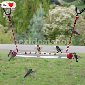 The neighborhood gossip spot for hummingbirds is now open! 🤫 Hang this feeder and become the source of the juiciest nectar... I mean, news. Link in comments! 👇 | Next Deal Shop