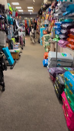 Fun at our favorite pet store. #GreatDane #PetStore #Dog #DogLife | Larry_the_great_dane