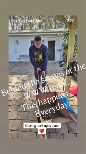 Women Washing Windows Aus on Reels