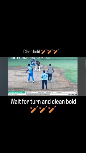 Yaar Haryana te 🏏🏏 #shorts #explore #cricket #trending #viral #viral #ipl #yt #comedy @MrBeast