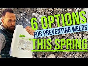 Weed FREE 2024! STOP WEEDS NOW!! Pre emergent weed controls for lawns and flowerbeds
