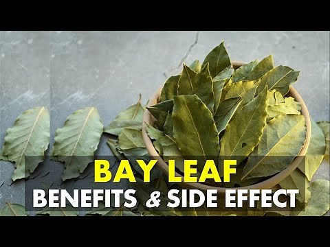 Bay Leaf Benefits and Side Effects