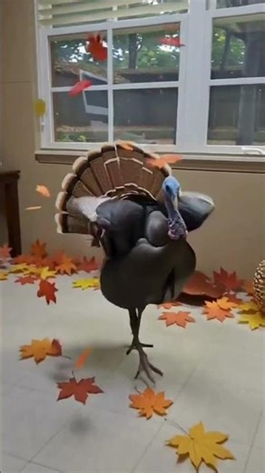 🍂 Happy Thanksgiving from Source-Ray.