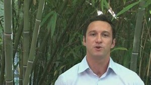 François PURSEIGLE Toulouse