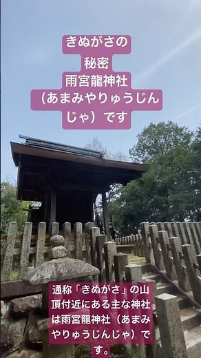 【きぬがさの山頂（標高432m）山頂へのハイキングルート #滋賀県 #日帰り登山 #ハイキング #hiking #きぬがさ