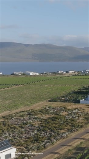 8.6K views · 205 reactions | #FNBWines2Whales - #TheRaceWithGEES,...