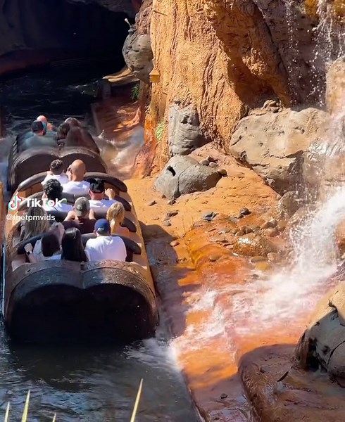 Experience the Thrill of Splash Mountain at Disney World