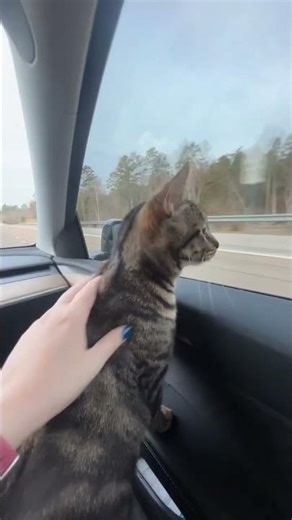 Boo boo!!! 🩷🩷🩷