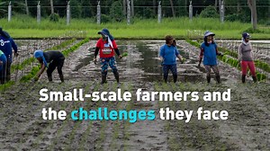 1.3K views · 46 reactions | President of the UN's International Fund for Agricultural Development (#IFAD), Alvaro Lario spoke to CGTN’s Mike Walter about small-scale #farmers and the #challenges they face in less fortunate places around the world. #Climatechange #UNGA78 #CGTNUN #CGTNAmerica #heat | CGTN | Facebook