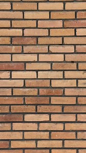 🚨 Big news from Homestead: Family Survival! 🚨 The final 3 episodes of Season 1 (Episodes 6–8) are now available to watch on the Angel Guild! 🌾 From ancient traditions to God-centered living, this season has offered a powerful glimpse into what it means to build a safer, more self-sufficient home — rooted in faith and purpose. Don’t miss the season finale — available now! #homesteadfamilysurvival#AngelStudios#homesteading | Homestead