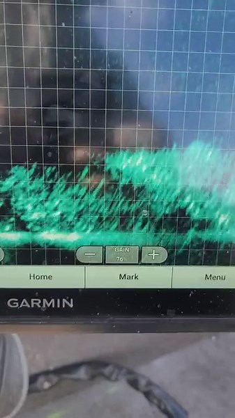 Each year during winter, millions of shad migrate to the deeper sections of the main lake in search of warmer water. The old saying is true, find the shad.....find the fish. | Fishing Ken