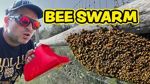 Epic Beekeeping Failures: Lessons Learned the Hard Way