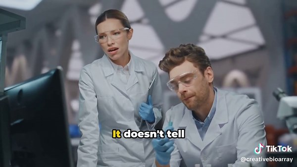 Understanding qPCR: Amplification and Melting Curves