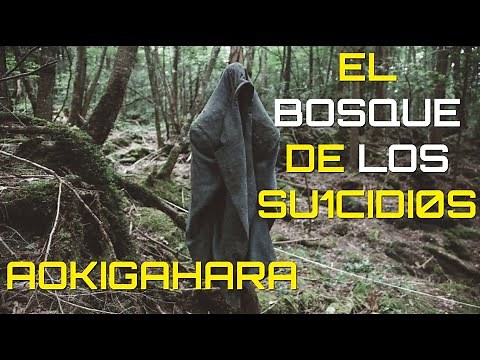 Aokigahara: El Bosque de los Su1c1dios