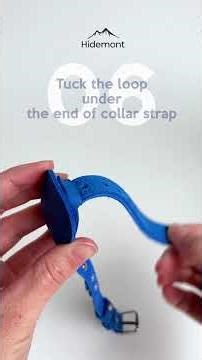 🐱 How to Attach an AirTag to a Cat Collar the RIGHT Way — Step by Step Guide