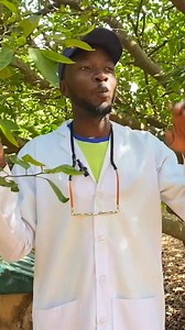 Common challenges in Beekeeping #bees #agriculture #nigeria #viralreels #entertainment #trendingreels #SureTV #instagram #reels #trendingvideo #tiktok | PrinceDee Farms