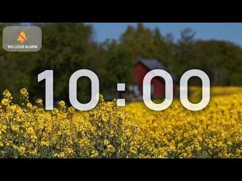 10 Minute Classroom Timer with Music | Calm Spring Meadow & Yellow Flower Field — NO LOUD ALARM