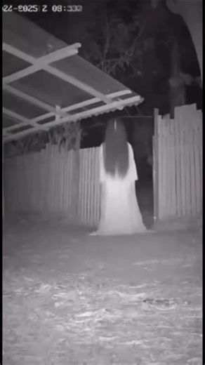 seram tapi lucu🤣🤣✌️ bikin ngakak #comedy #funny #viral #hororkomedi #tipeketawa