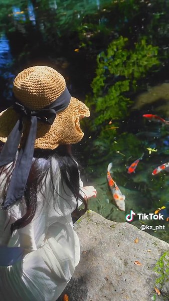 美しい自然と湧き水が満載の南阿蘇村