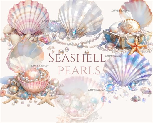 19 Sea Shells Clipart Bundle, Beach Clipart, JPG Bundle,birthday Wedding Clipart,junk Journal,scrapbooking, Commercial Use, Digital Graphics - Etsy