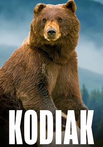 Kodiak Season 1 - watch full episodes streaming online
