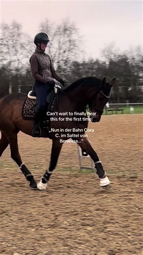 Turniere im Dressurreiten: Erste Nennungen!