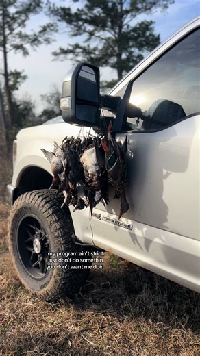 simple #fyp #foryoupage | Program Management