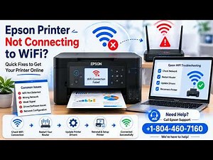 +18044607160 Epson Printer Won’t Connect to Internet – Common Causes and Fixes