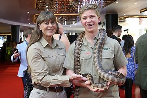 Robert Irwin struck by python