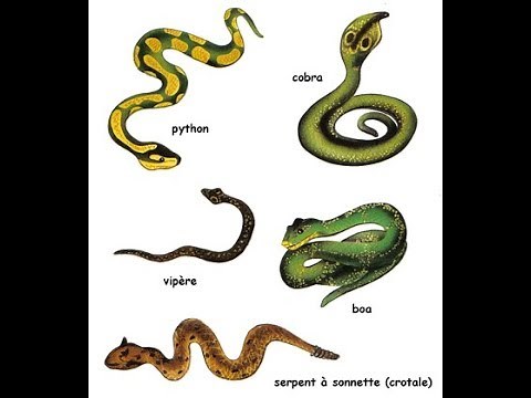 Serpents et rongeurs eloignes grace a cet astuce