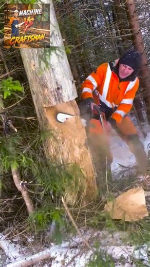 🌳 How to Cut Tall Trees — Handheld Chainsaw Safe & Fast Method #wood #gardenideastips
