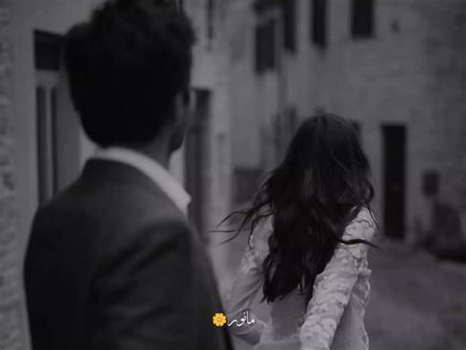 Exploring Creator Search Insight: Tips for Typists